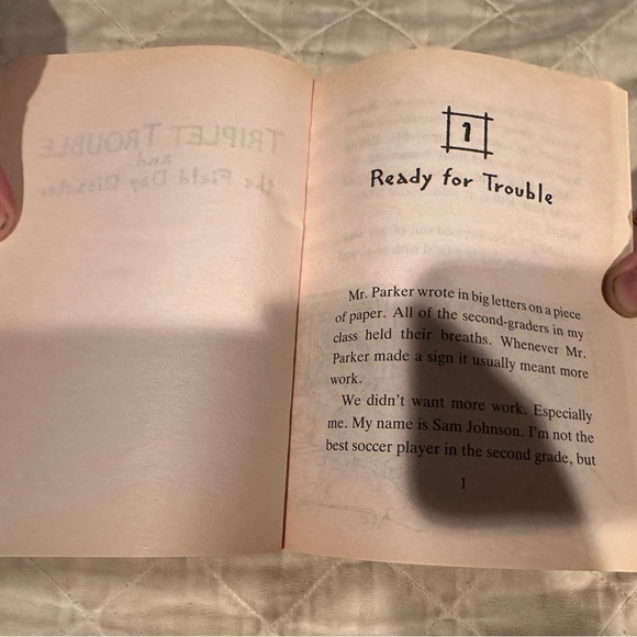 Triplet trouble and the field day disaster - Picture 4 of 7